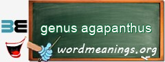 WordMeaning blackboard for genus agapanthus